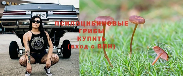 соль ск Дмитровск
