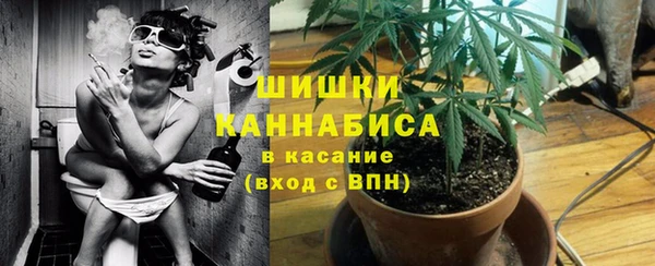 apvp Туринск