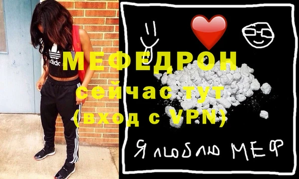 spice Дмитриев