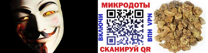 Псилоцибиновые грибы Psilocybe  продажа наркотиков  Касли 